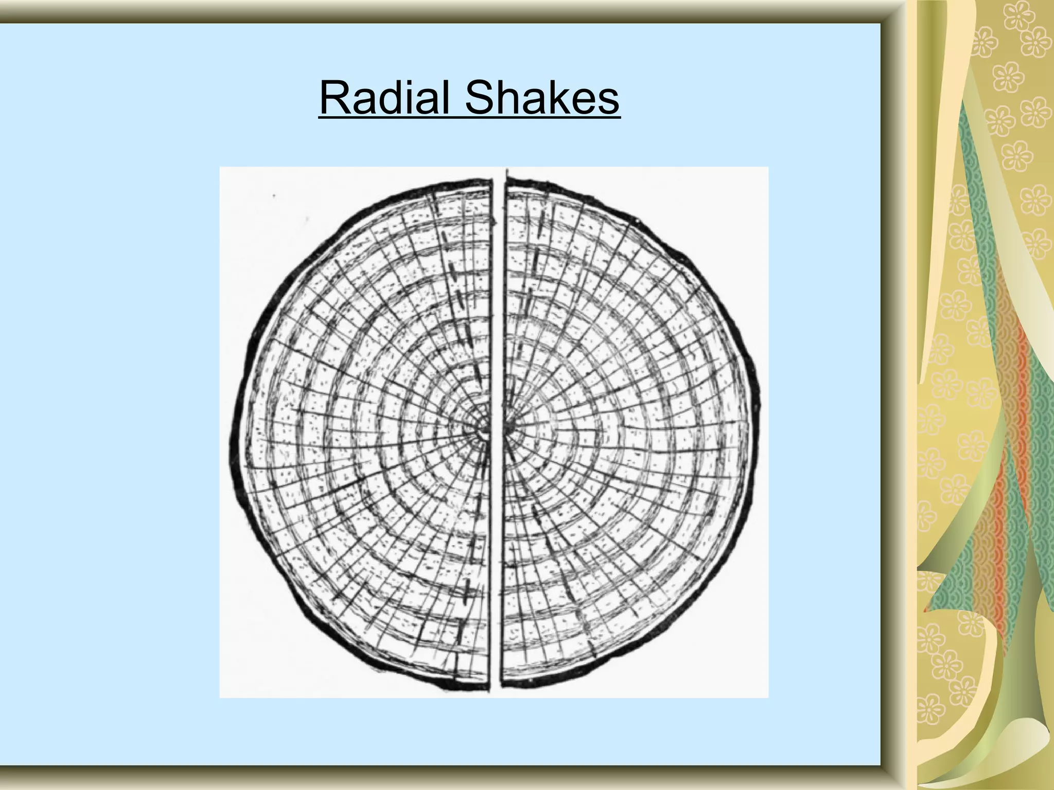 Radial Shakes

 