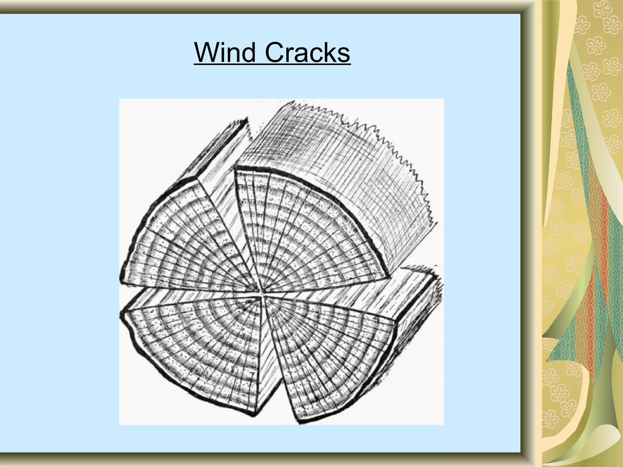 Wind Cracks

 
