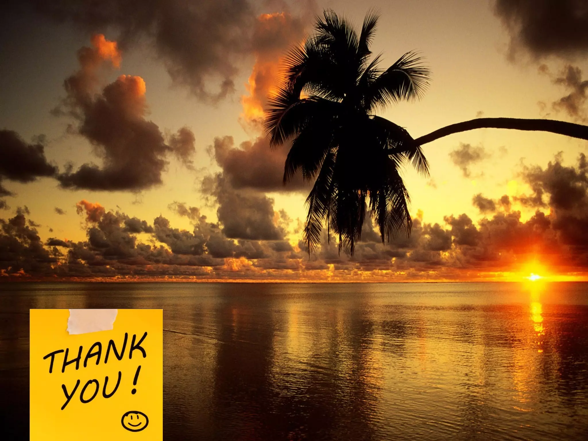 Thankyou

Developed by:Nadeem Asghar

59

 