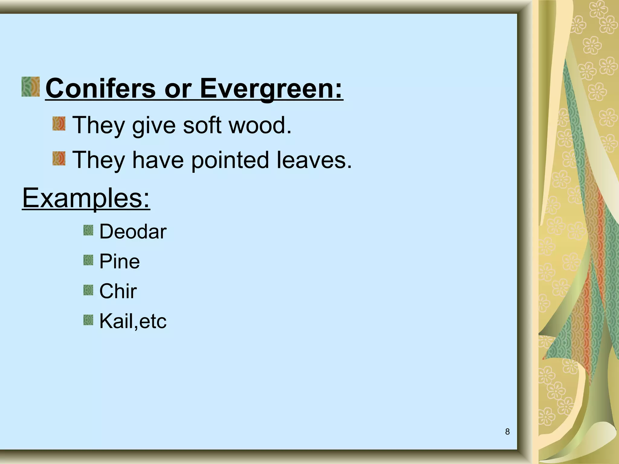 Conifers or Evergreen:
They give soft wood.
They have pointed leaves.

Examples:
Deodar
Pine
Chir
Kail,etc

8

 