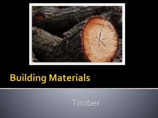 Timber | PPTX