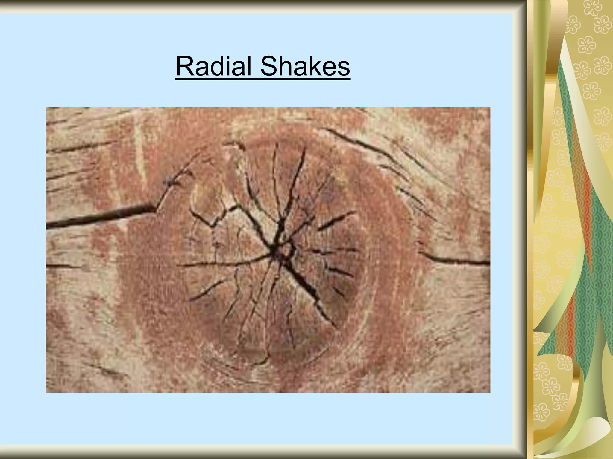 Radial Shakes
 