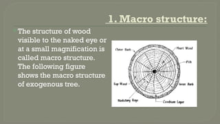 Tree Structure Timber timber basics in structure mechanics (dos) | PPTX
