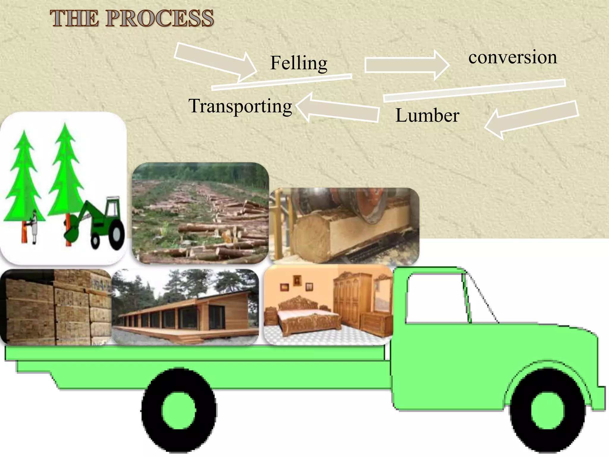 Felling
Transporting
conversion
Lumber
 