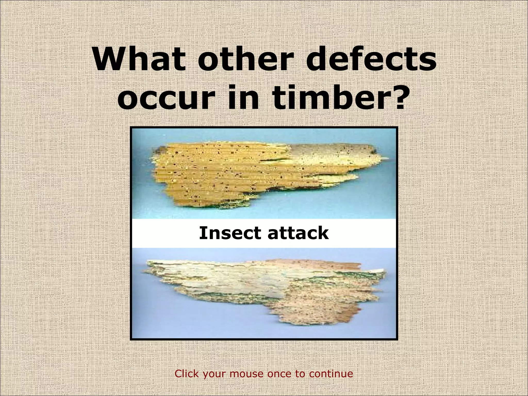 timber-defects-ppt
