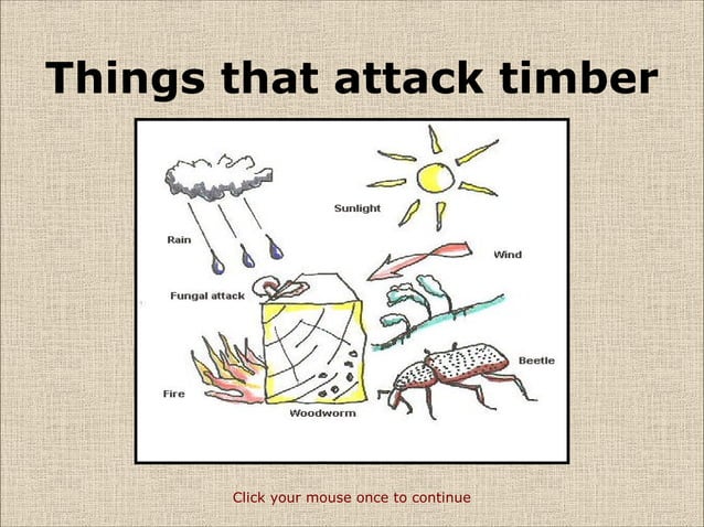 defects-in-timber-exploring-top-defects-different-types-58-off