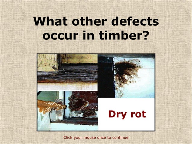 timber-defects-ppt