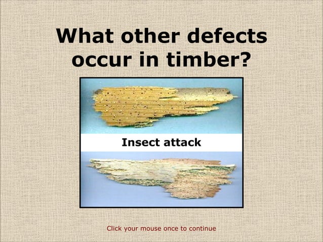 timber-defects-ppt