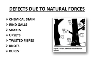 Timber DEFECTS | PPTX