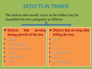 TIMBER PPT SA JBP | PPTX