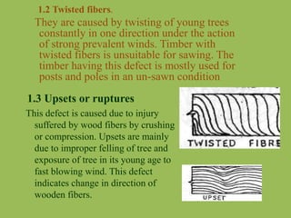 Twisting Defects TIMBER PPT SA JBP | PPTX
