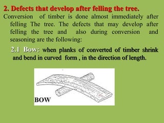 TIMBER PPT SA JBP | PPTX