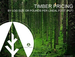 ©2016, Forest2Market, Inc.
TIMBER PRICING
BY LOG SIZE OR POUNDS PER LINEAL FOOT (PLF)
 