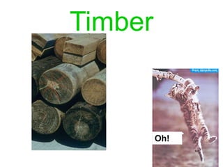 Timber
Oh!
 