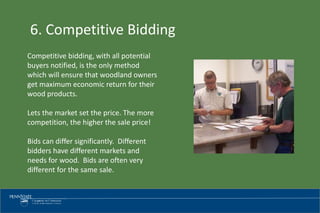 Timber Sales and Marketing | PPTX