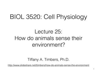 BIOL 3520: Cell Physiology
1
Lecture 25:  
How do animals sense their
environment?
Tiffany A. Timbers, Ph.D.
http://www.slideshare.net/ttimbers/how-do-animals-sense-the-environment
 