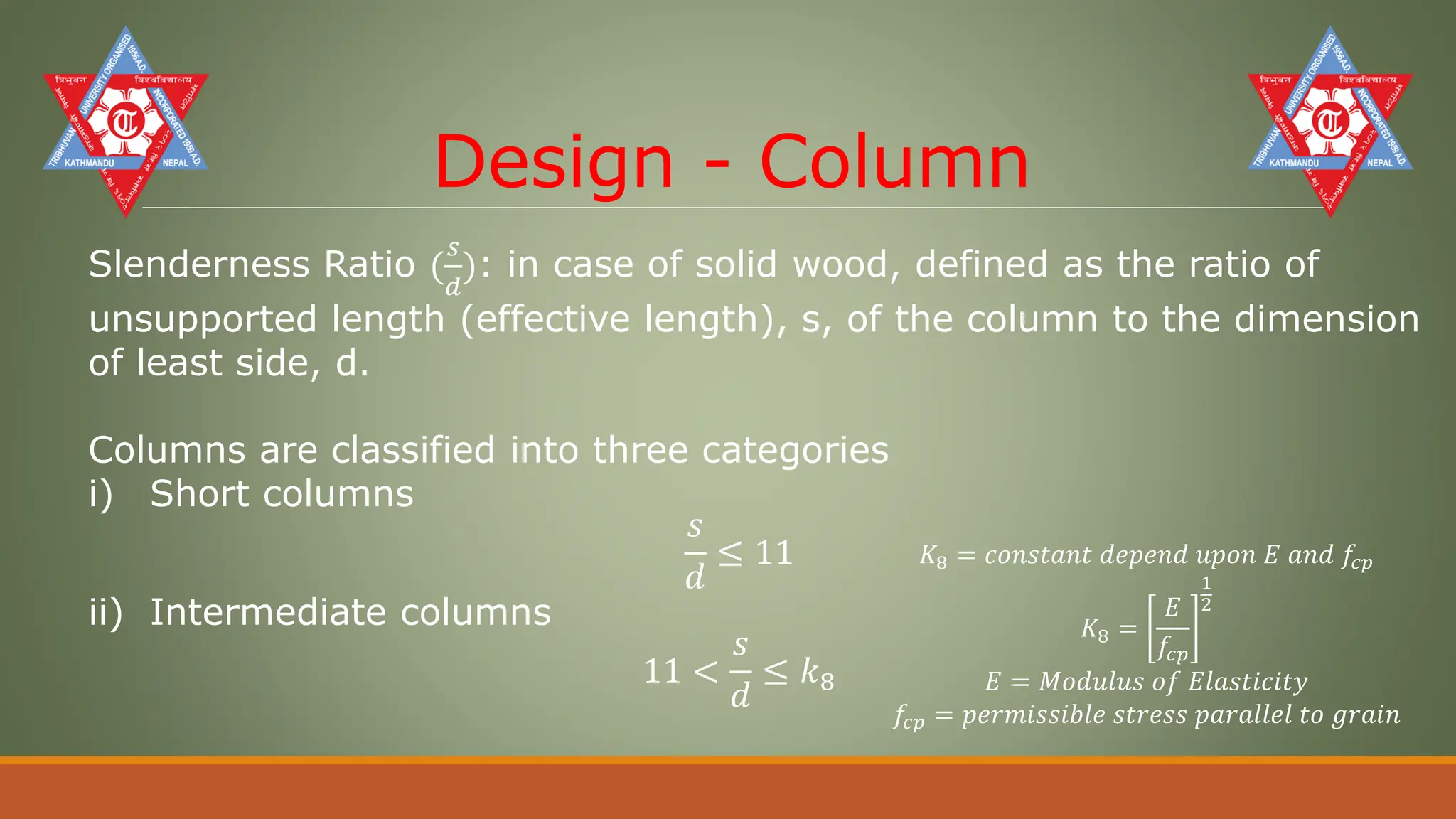 Timber Structure.pdf