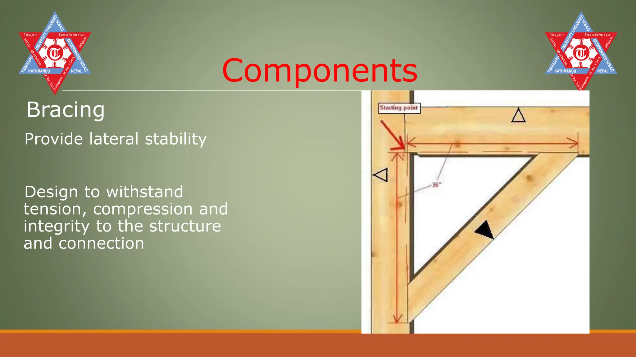 Timber Structure.pdf