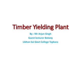 Timber Yielding Plant
By : Mr Arjun Singh
Guest lecturer Botany
Likhan Sai Govt College Tapkara
 