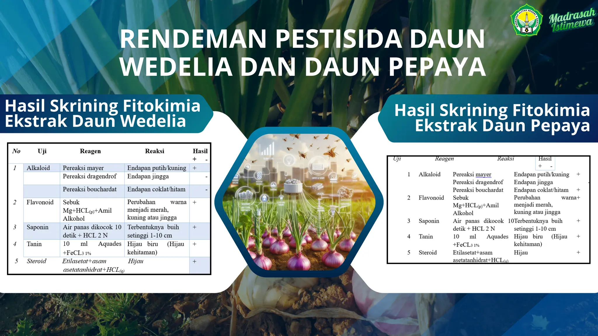 RENDEMAN PESTISIDA DAUN
WEDELIA DAN DAUN PEPAYA
Hasil Skrining Fitokimia
Ekstrak Daun Wedelia
Hasil Skrining Fitokimia
Ekstrak Daun Pepaya
 
