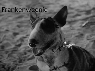Frankenweenie