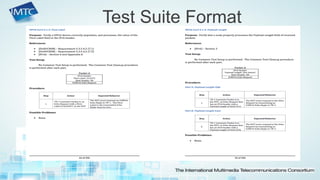 Test Suite Format  