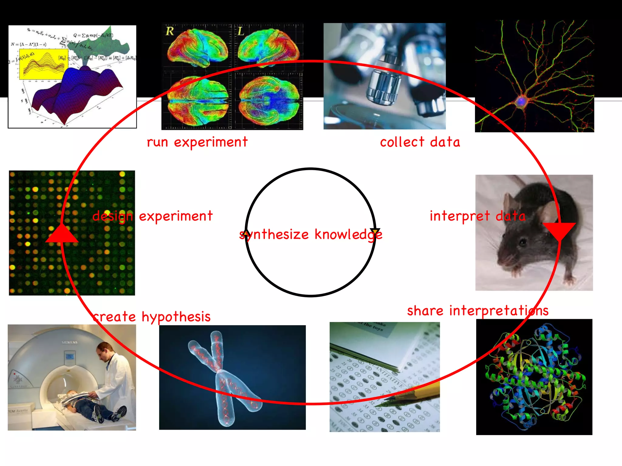 create hypothesis design experiment run experiment collect data interpret data share interpretations synthesize knowledge 