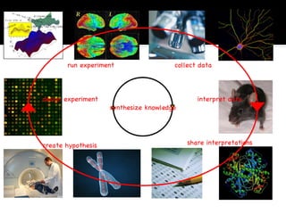 create hypothesis design experiment run experiment collect data interpret data share interpretations synthesize knowledge 