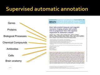 Genes Proteins Biological Processes Chemical Compounds Antibodies Cells Brain anatomy … 