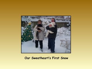 Our Sweetheart’s First Snow 