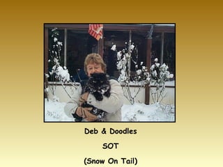 Deb & Doodles SOT (Snow On Tail) 