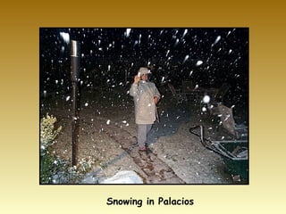 Snowing in Palacios 