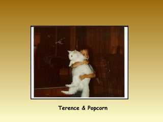 Terence & Popcorn 