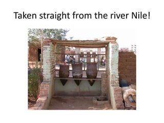 Taken straight from the river Nile!
 