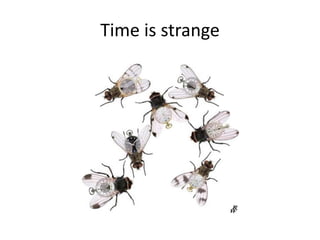Time is strange
 