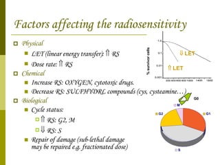 Factors affecting the radiosensitivity Physical LET (linear energy transfer):    RS Dose rate:    RS Chemical Increase RS: OXYGEN, cytotoxic drugs. Decrease RS: SULFHYDRL compounds (cys, cysteamine…) Biological Cycle status:     RS: G2, M    RS: S Repair of damage (sub-lethal damage  may be repaired e.g. fractionated dose) G1 S G2 M G0    LET    LET % survivor cells M M 