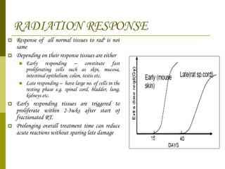 RADIATION RESPONSE Response of  all normal tissues to rad n  is not same Depending on their response tissues are either  Early responding – constitute fast proliferating cells such as skin, mucosa, intestinal epithelium, colon, testis etc. Late responding –  have large no. of cells in the resting phase e.g. spinal cord, bladder, lung, kidneys etc. Early responding tissues are triggered to proliferate within 2-3wks after start of fractionated RT. Prolonging overall treatment time can reduce acute reactions without sparing late damage 