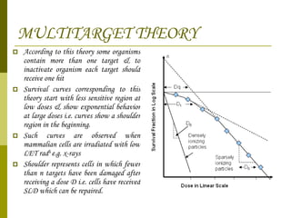 MULTITARGET THEORY According to this theory some organisms contain more than one target & to inactivate organism each target should receive one hit Survival curves corresponding to this theory start with less sensitive region at low doses & show exponential behavior at large doses i.e. curves show a shoulder region in the beginning. Such curves are observed when mammalian cells are irradiated with low LET rad n  e.g. x-rays Shoulder represents cells in which fewer than n targets have been damaged after receiving a dose D i.e. cells have received SLD which can be repaired. 