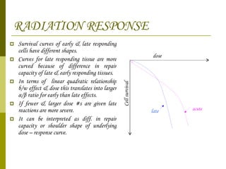 RADIATION RESPONSE Survival curves of early & late responding cells have different shapes. Curves for late responding tissue are more curved because of difference in repair capacity of late & early responding tissues. In terms of  linear quadratic relationship b/w effect & dose this translates into larger  α / β  ratio for early than late effects. If fewer & larger dose #s are given late reactions are more severe. It can be interpreted as diff. in repair capacity or shoulder shape of underlying dose – response curve. acute late Cell survival dose 