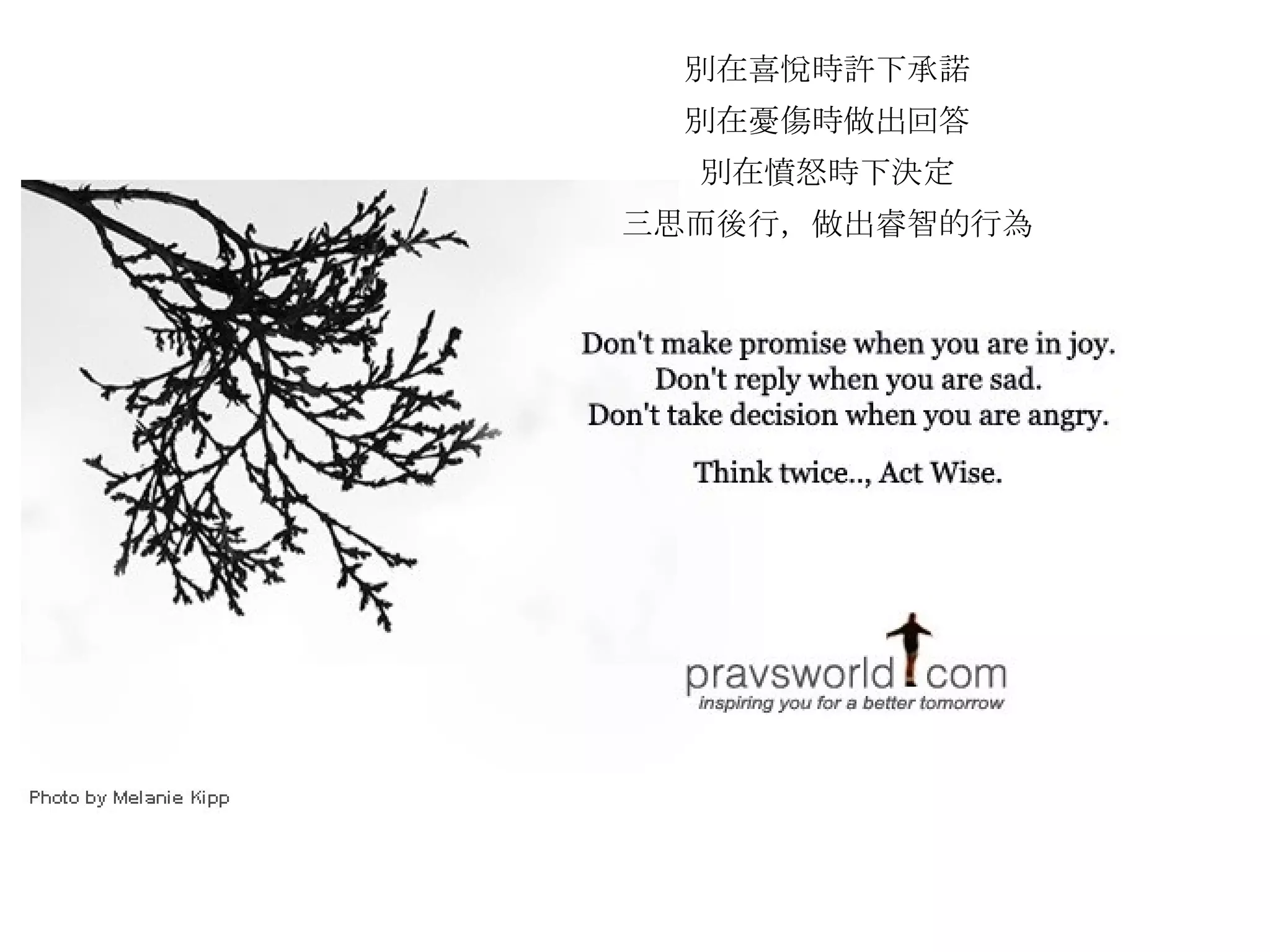 別在喜悅時許下承諾 別在憂傷時做出回答 別在憤怒時下決定 三思而後行，做出睿智的行為 