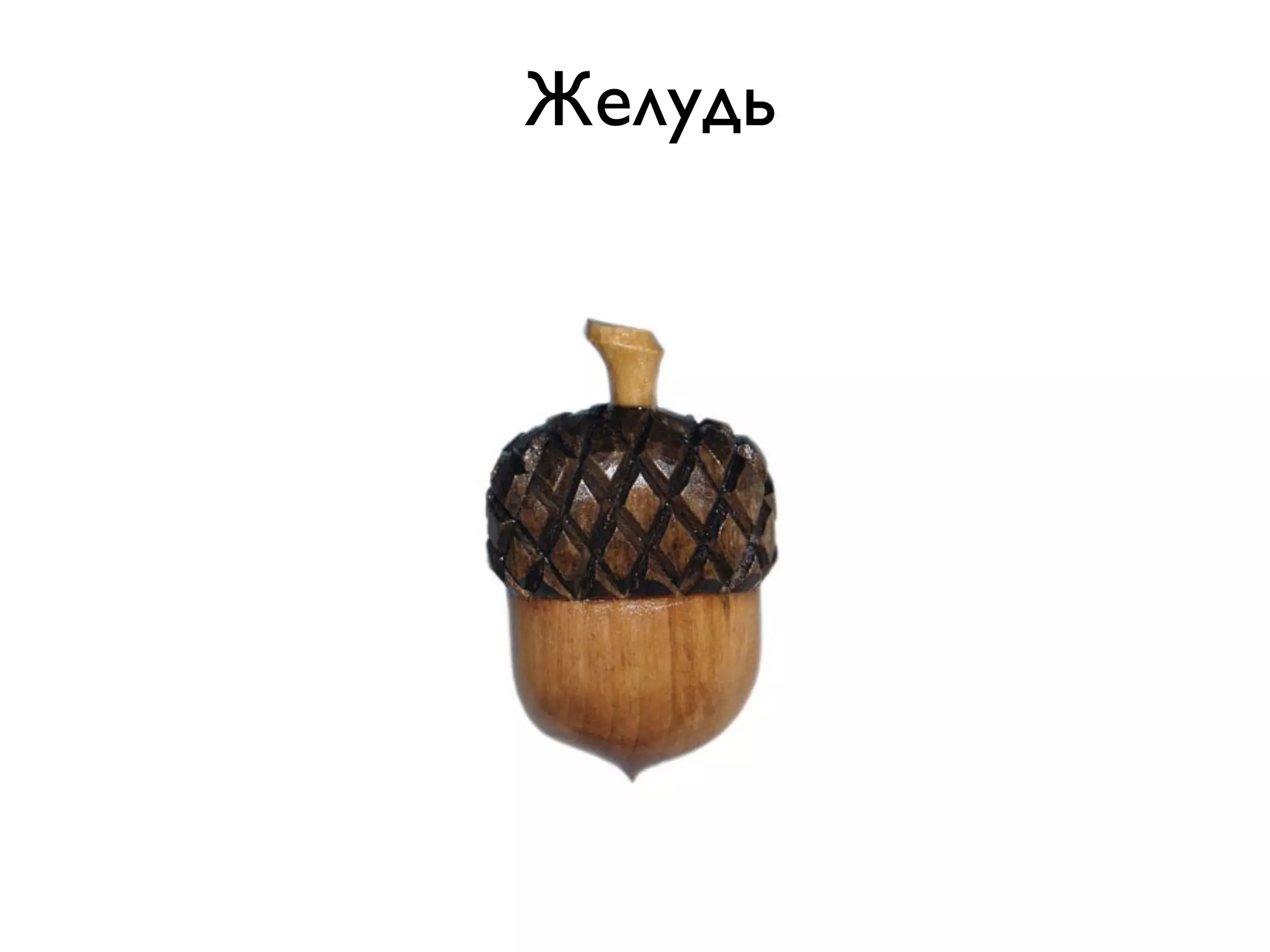 Желудь
 
