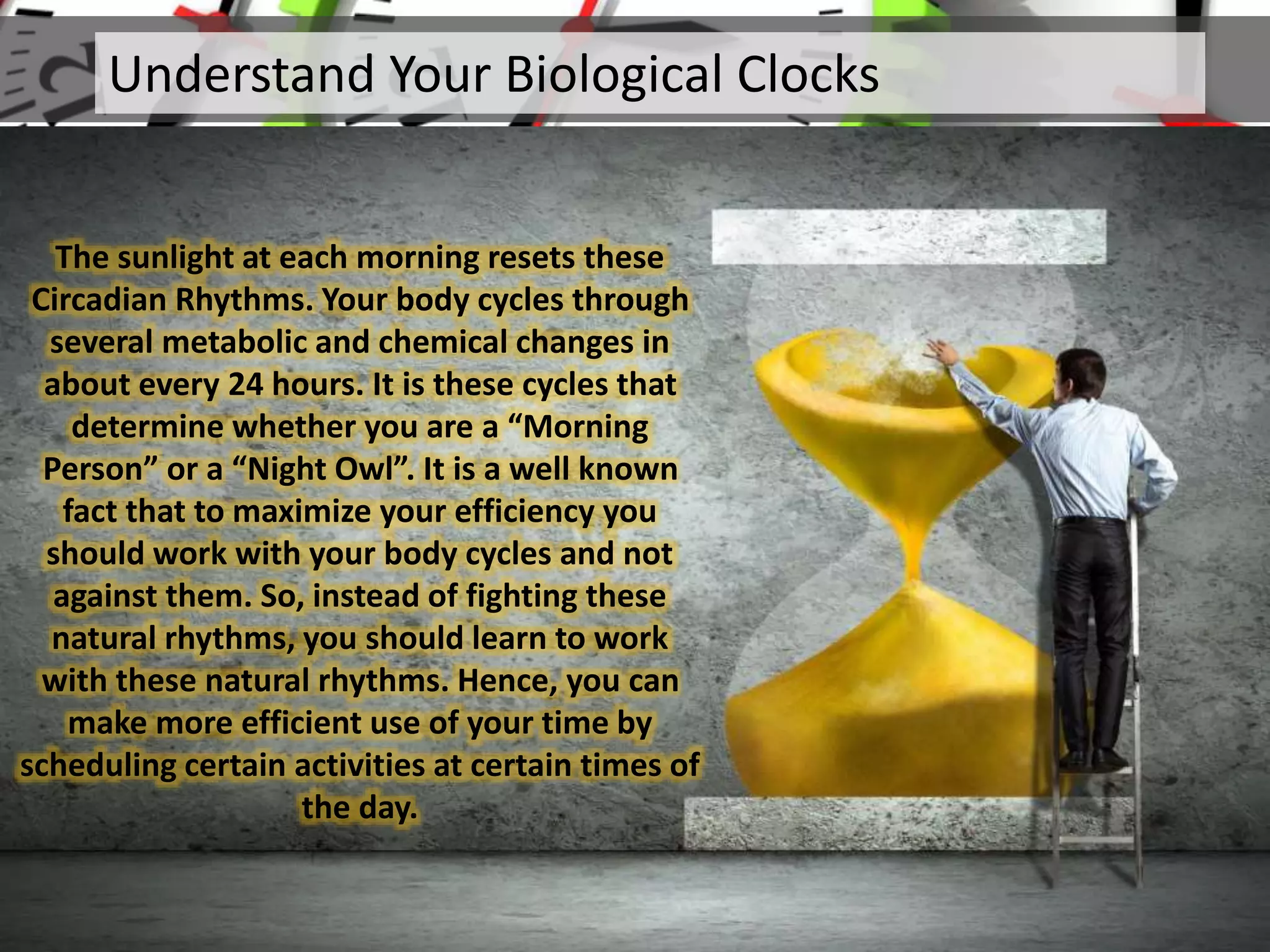 Understand Your Biological Clocks
The sunlight at each morning resets these
Circadian Rhythms. Your body cycles through
several metabolic and chemical changes in
about every 24 hours. It is these cycles that
determine whether you are a “Morning
Person” or a “Night Owl”. It is a well known
fact that to maximize your efficiency you
should work with your body cycles and not
against them. So, instead of fighting these
natural rhythms, you should learn to work
with these natural rhythms. Hence, you can
make more efficient use of your time by
scheduling certain activities at certain times of
the day.
 