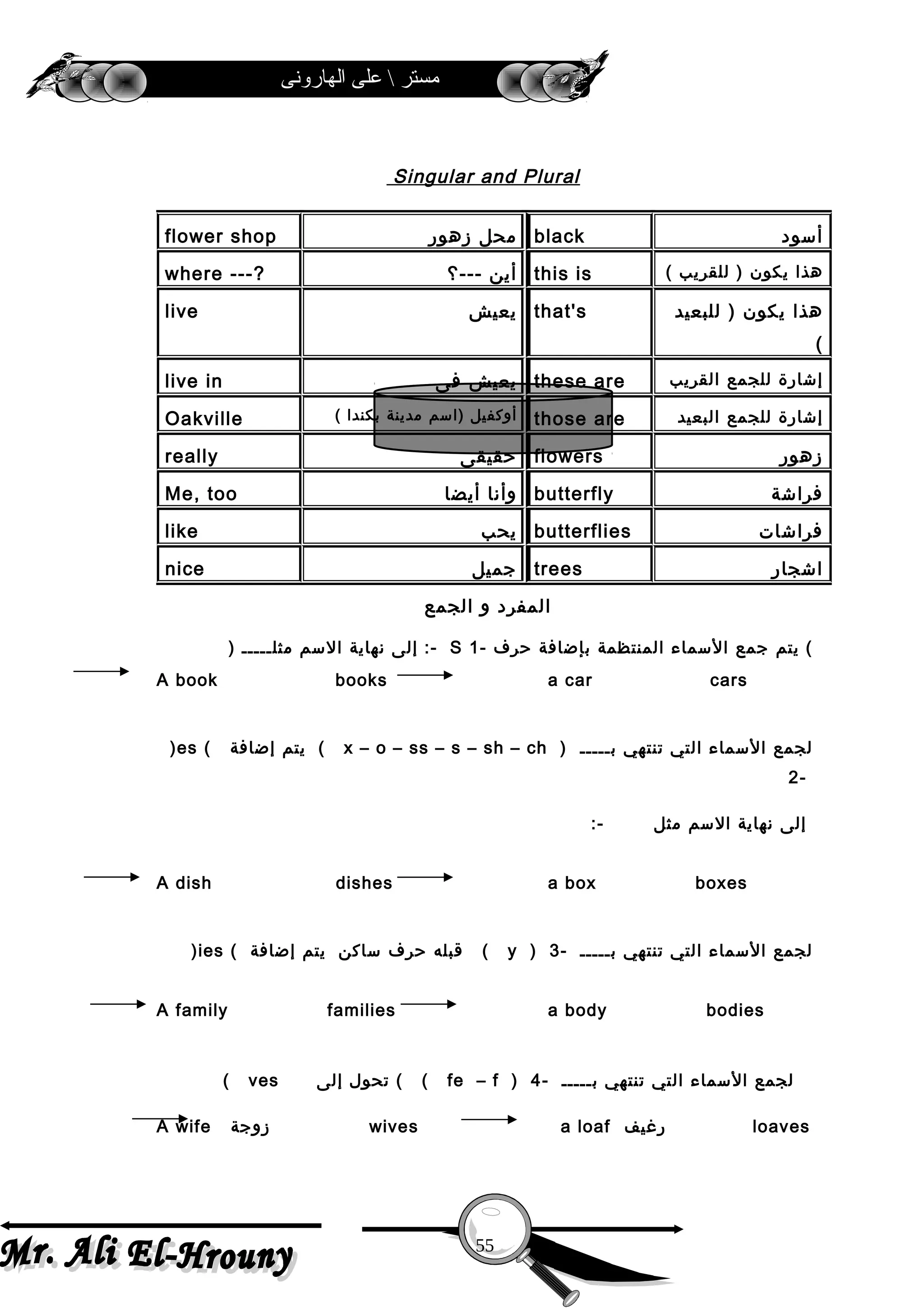 ‫الهارونى‬ ‫على‬  ‫مستر‬
Singular and Plural
‫المفرد‬‫و‬‫الجمع‬
) ‫إلى‬‫نهاية‬‫المسم‬‫مثلـــــ‬ :- S 1- ‫يتم‬‫جمع‬‫المسماء‬‫المنتظمة‬‫بإضافة‬‫حرف‬ (
A book books a car cars
)es ( ‫يتم‬‫إضافة‬ ( x – o – ss – s – sh – ch ) ‫لجمع‬‫المسماء‬‫التي‬‫تنتهي‬‫بـــــ‬
-2
:- ‫إلى‬‫نهاية‬‫المسم‬‫مثل‬
A dish dishes a box boxes
)ies ( ‫قبله‬‫حرف‬‫مساكن‬‫يتم‬‫إضافة‬ ( y ) ‫لجمع‬‫المسماء‬‫التي‬‫تنتهي‬‫بـــــ‬-3
A family families a body bodies
( ves ‫تحول‬‫إلى‬ ( ( fe – f ) ‫لجمع‬‫المسماء‬‫التي‬‫تنتهي‬‫بـــــ‬-4
A wife ‫زوجة‬ wives a loaf ‫رغيف‬ loaves
‫أمسود‬black‫محل‬‫زهور‬flower shop
‫هذا‬‫يكون‬‫للقريب‬ )(this is‫أين‬‫---؟‬where ---?
‫هذا‬‫يكون‬‫للبعيد‬ )
(
that's‫يعيش‬live
‫إشارة‬‫للجمع‬‫القريب‬these are‫يعيش‬‫فى‬live in
‫إشارة‬‫للجمع‬‫البعيد‬those are‫أوكفيل‬‫)امسم‬‫مدينة‬‫بكندا‬(Oakville
‫زهور‬flowers‫حقيقى‬really
‫فراشة‬butterfly‫وأنا‬‫أيضا‬Me, too
‫فراشات‬butterflies‫يحب‬like
‫اشجار‬trees‫جميل‬nice
55
 