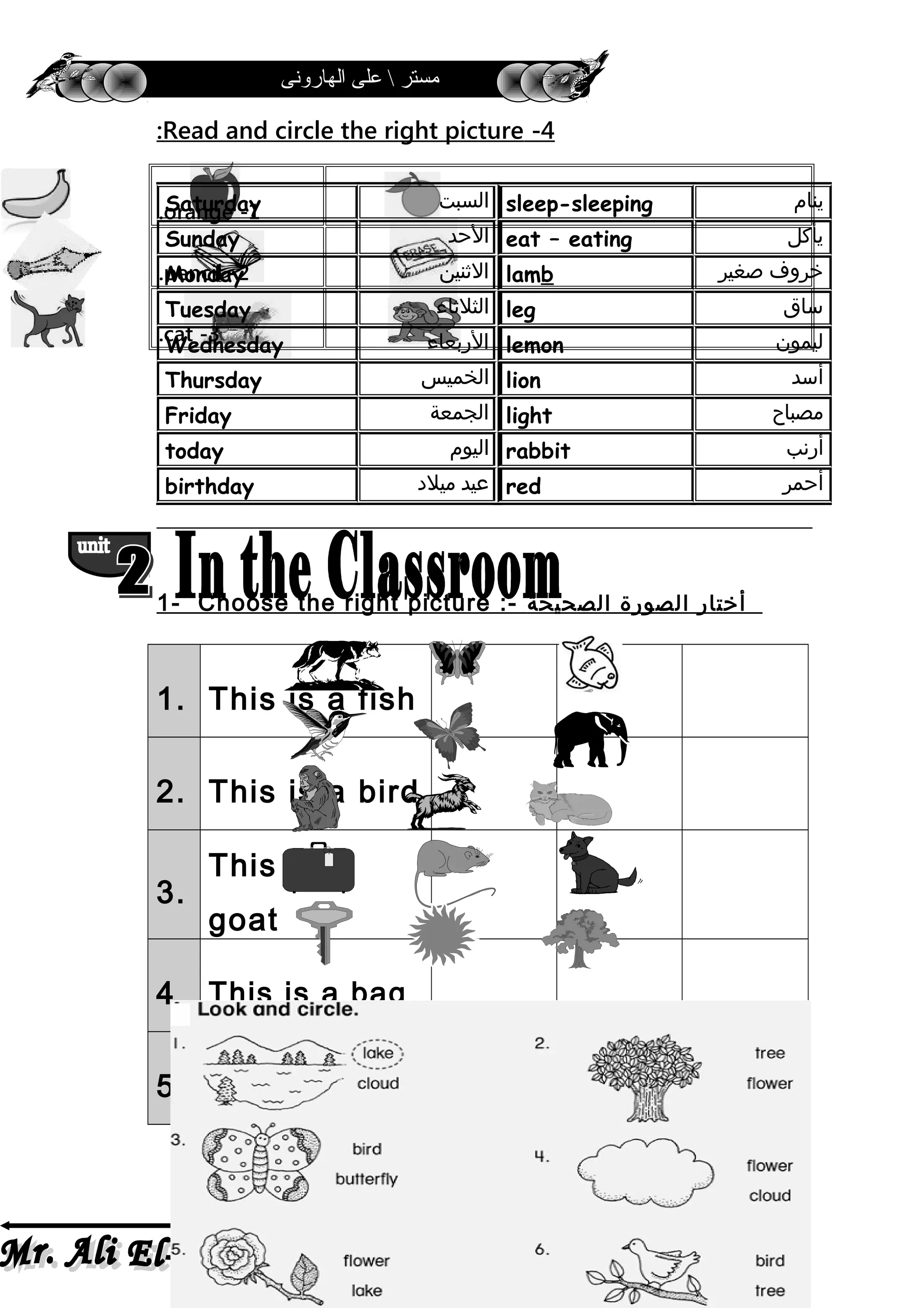 ‫الهارونى‬ ‫على‬  ‫مستر‬
4-Read and circle the right picture:
1-orange.
2-pencil.
3-cat.
1- Choose the right picture :- ‫أختار‬‫الصورة‬‫الصحيحة‬
1. This is a fish
2. This is a bird
3.
This is a
goat
4. This is a bag
5. This is a tree
‫ينام‬sleep-sleeping‫السبت‬Saturday
‫يأكل‬eat – eating‫الحد‬Sunday
‫خروف‬‫صغير‬lamb‫الثنين‬Monday
‫ساق‬leg‫الثلثاء‬Tuesday
‫ليمون‬lemon‫الربعاء‬Wednesday
‫أسد‬lion‫الخميس‬Thursday
‫مصباح‬light‫الجمعة‬Friday
‫أرنب‬rabbit‫اليوم‬today
‫أحمر‬red‫عيد‬‫ميلد‬birthday
8
 