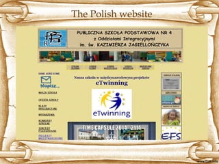 The Polish website
 