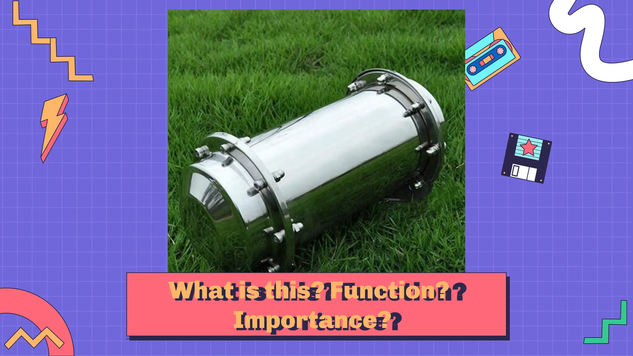 What is this? Function?
Importance?
 