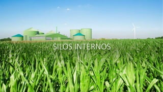 SILOS INTERNOS
 