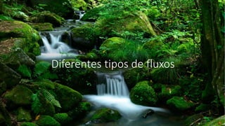 Diferentes tipos de fluxos
 