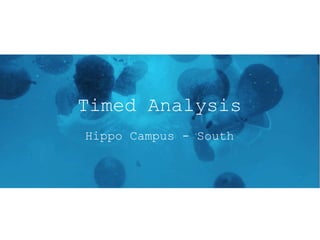 Timed Analysis
Hippo Campus - South
 