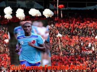 Guilherme Ferreira Pinto